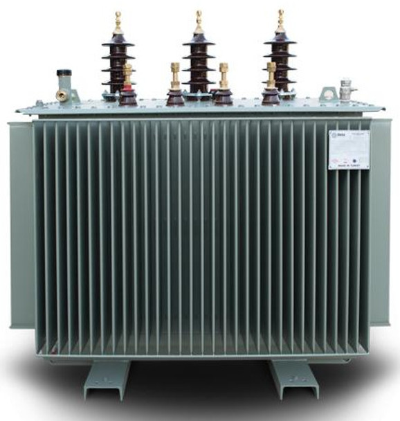 Astor Power Transformer 100KVA 33/400KV