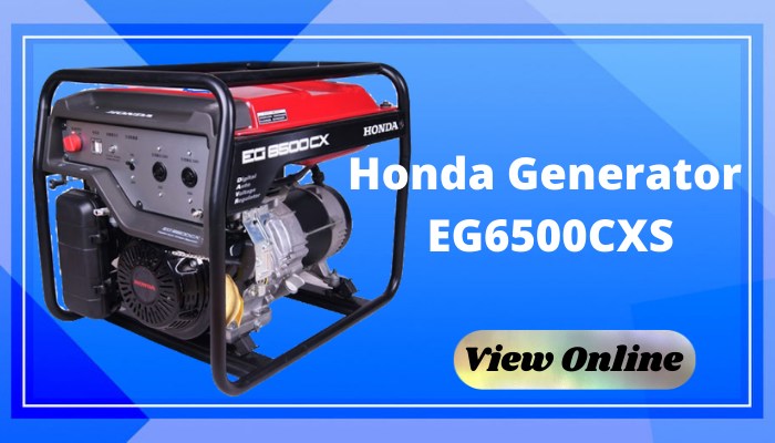 Honda Generator EG6500CXS